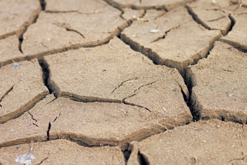 AHDB has highlighted the challenging conditions many farmers and growers are now facing