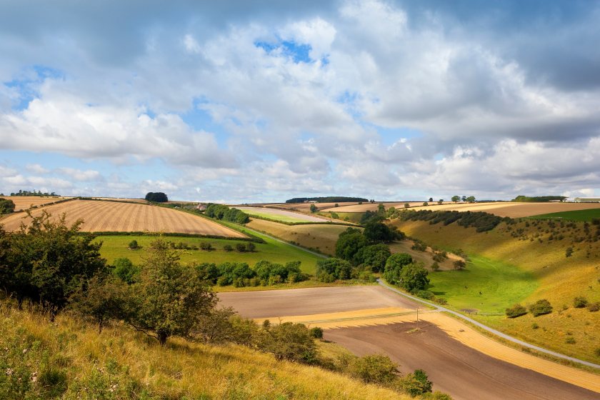 Researchers highlight the lack of detailed analysis on the impact of proposed changes on food production