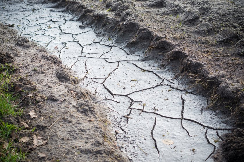 A coalition of groups has described the ongoing situation as a 'stark warning'