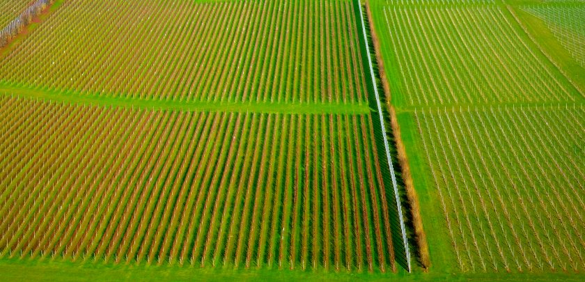 The UK has over 1,000 vineyards and 200 wineries, like this one in Sussex