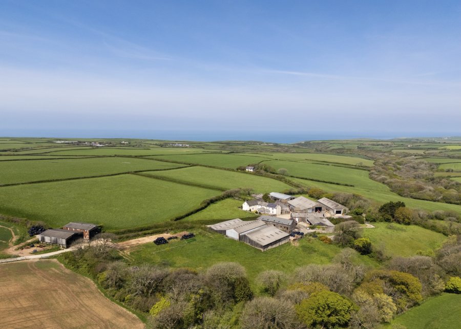 (Photo: Savills)