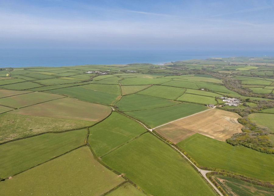 (Photo: Savills)