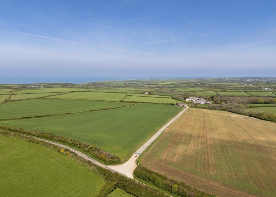 (Photo: Savills)