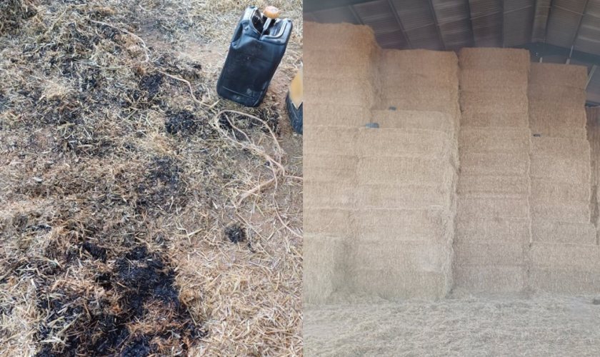 The seat of the fire was in a barn stacked with bales of hay (Photo: Essex Police)