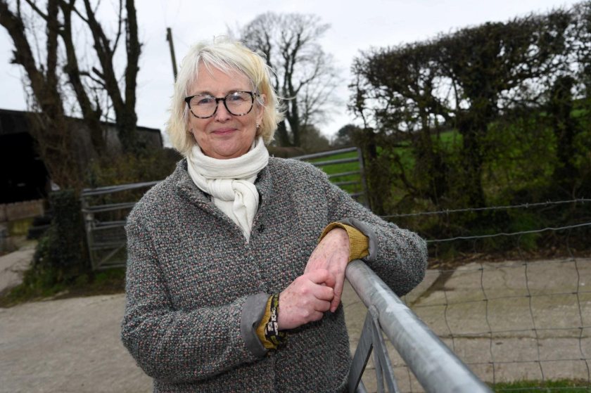 Welsh MS Siân Gwenllian has slammed the 'family farm tax' for its impact on farming widows