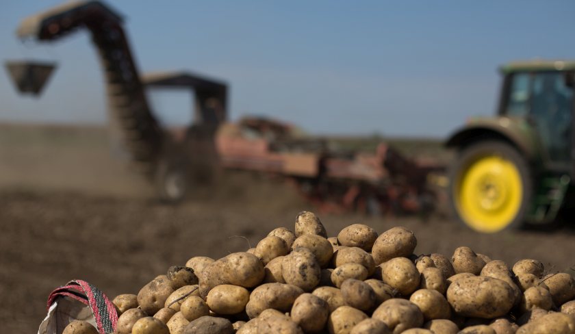 The new guide offers potato growers a series of recommendations across several key areas