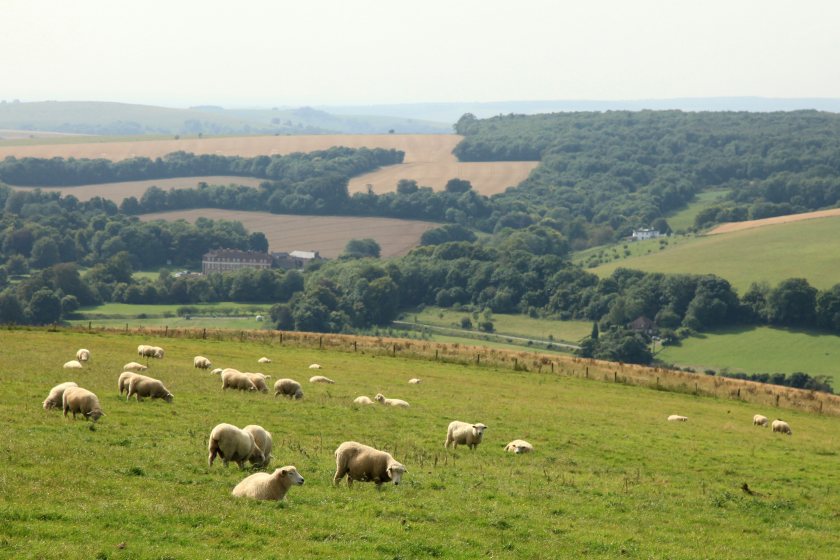 British agriculture has the worst business survival rate of any UK sector, according to a new report