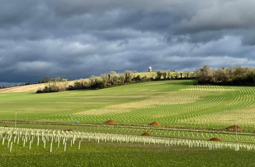 Before its acquisition in 2024, the land had been under wheat production since the 1970s