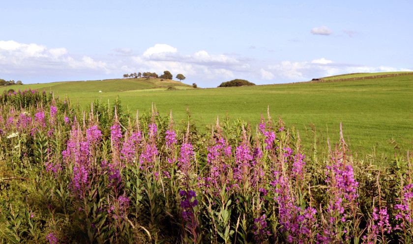 Farmers are being urged to plan ahead as changes to land rules put subsidy payments at risk
