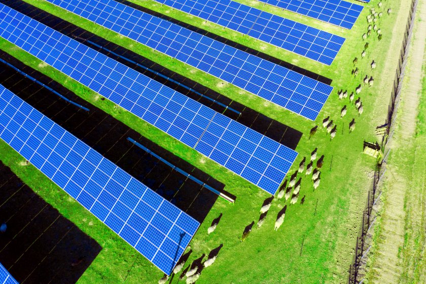 The Welsh Conservatives are calling for immediate action to halt solar panels on farmland