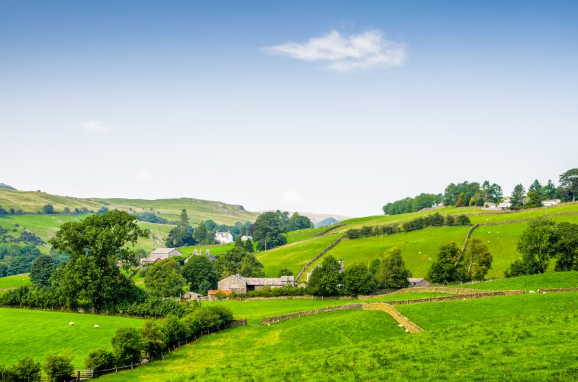 Calls are growing for the government to protect funding for sustainable farming as the Spending Review nears