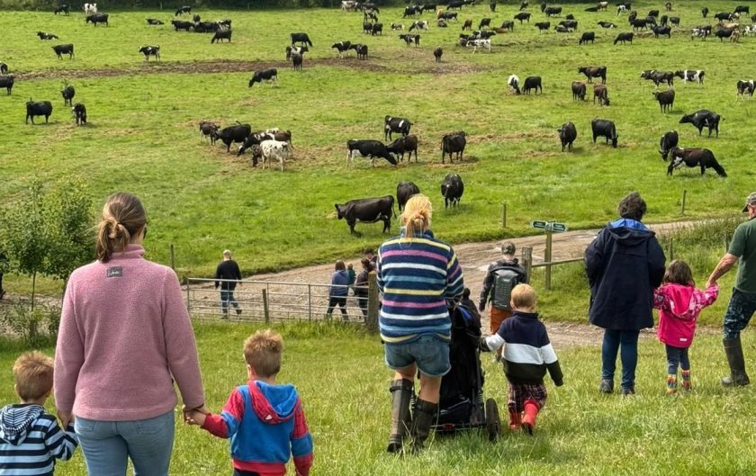 Hundreds of farms opened their gates amid rising public interest in food and farming