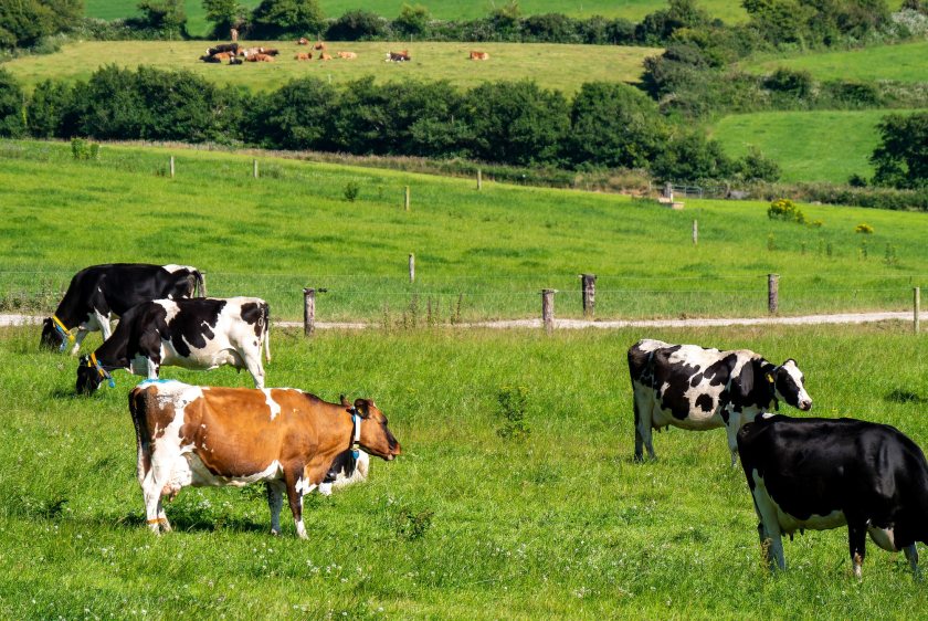 The accident has highlighted the increasing risks posed by severe and unpredictable weather
