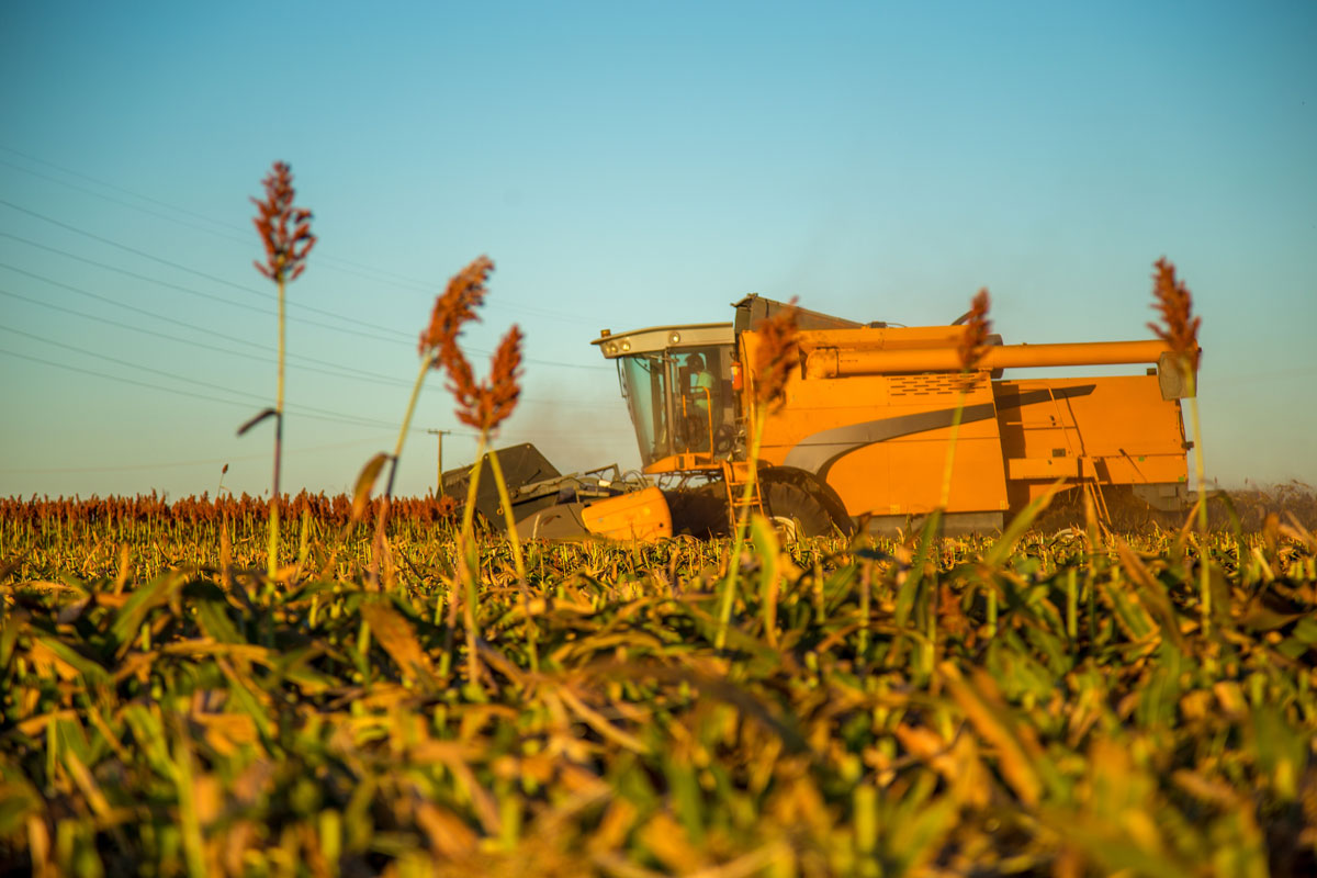 For centuries farmers have passed down their assets to continue their hard-earned legacy