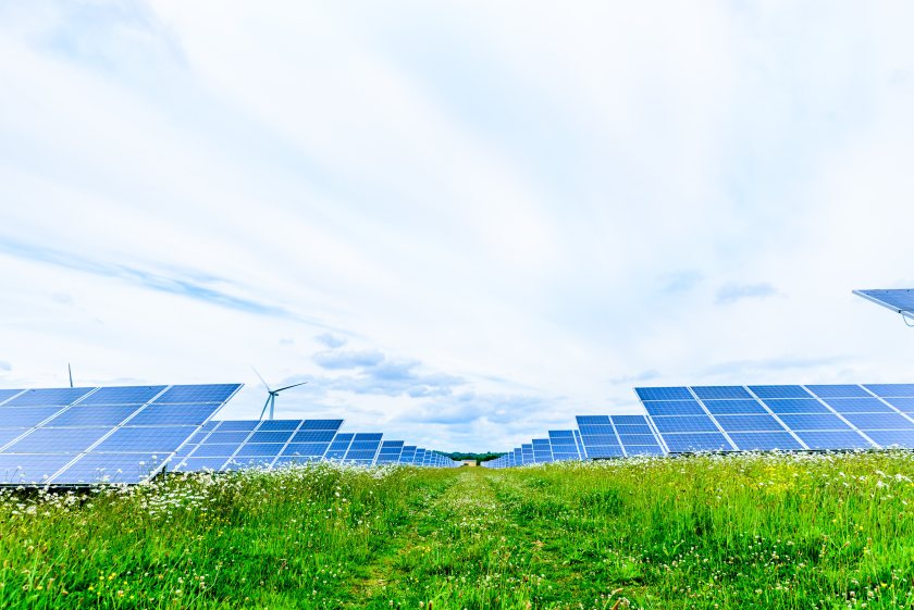 Critics say the Welsh government's move sacrifices food producing land for green energy targets
