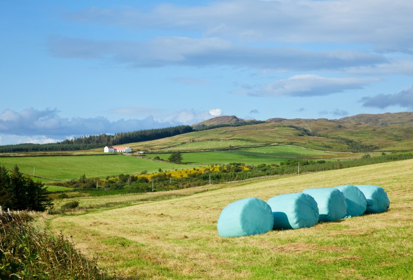 Farmers and crofters face mounting cost pressures, NFU Scotland warns