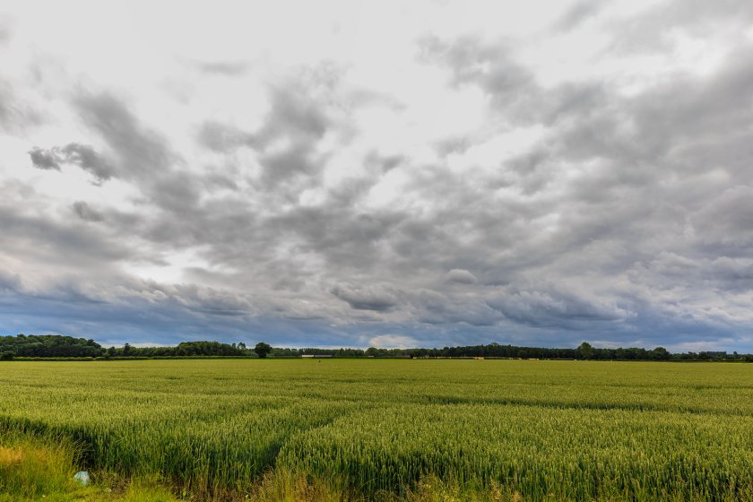 Delinked BPS payments to farmers will be significantly cut next year