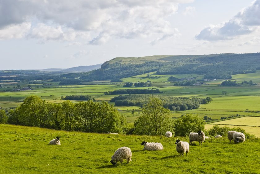 NFU Scotland warns that key aspects of the Bill risk undermining the economic fabric of rural areas
