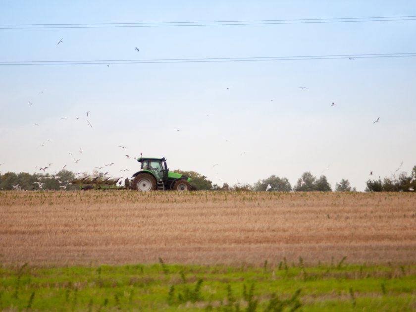 Every year, lives are lost on farms due to accidental contact with power lines