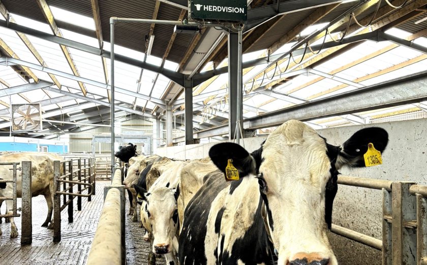 Revolutionary 3D video monitoring technology is delivering major benefits