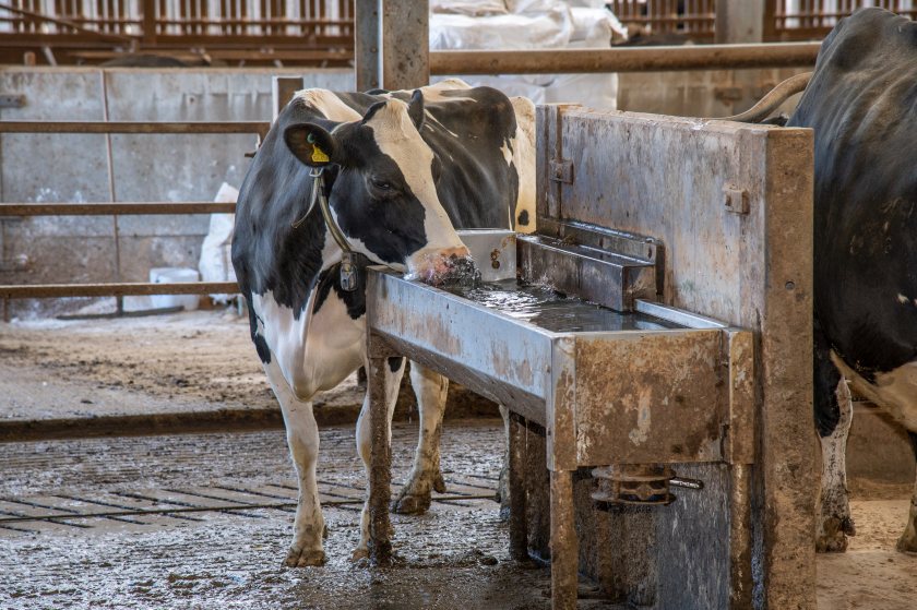 (Photo: ForFarmers)