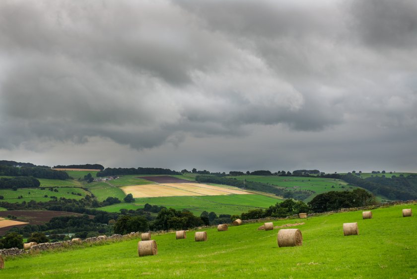 When asked about the impact of extreme weather, 87% of farmers cited reduced productivity