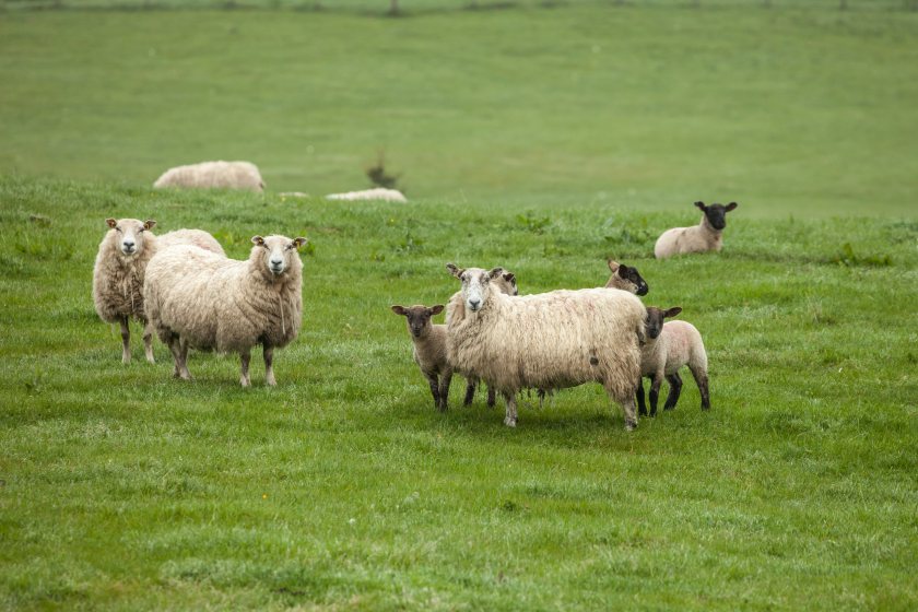Movements from England into Wales and Scotland are now subject to stricter controls
