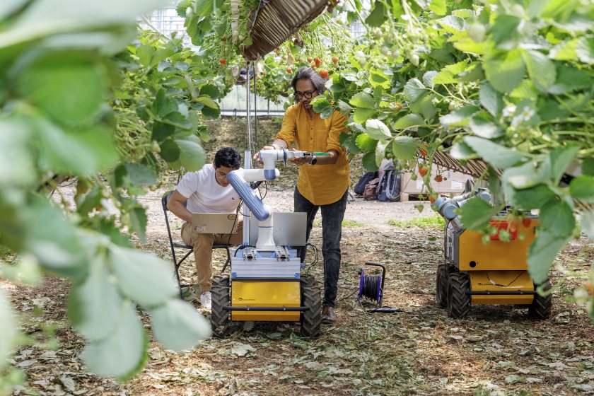 The robot is equipped with artificial intelligence and machine learning