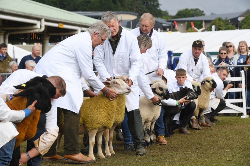 (Photo: Yorkshire Agricultural Society)