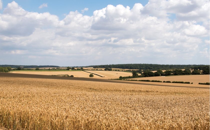 The trial demonstrated the potential to reduce greenhouse gas emissions from wheat cultivation