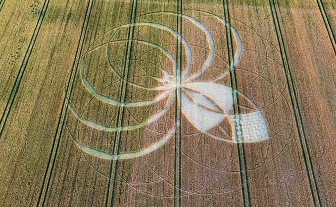 (Photo: Dorset Police Rural Crime Team)