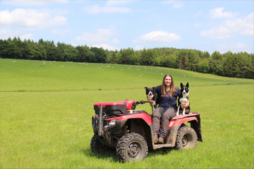 Beth Farmer has revealed how she found her path to better wellbeing through full-time shepherding