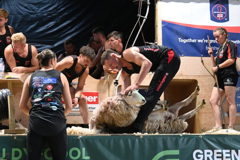 Two shearers from Mid Wales rewrote the record books in a display of strength, precision and endurance