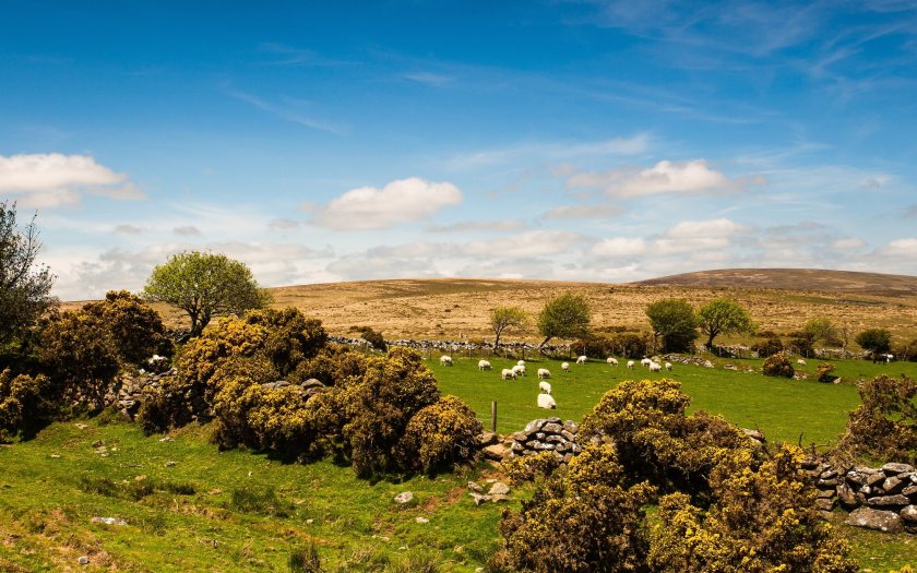 The article comes as the industry continues to highlight the value of upland farming to UK food production