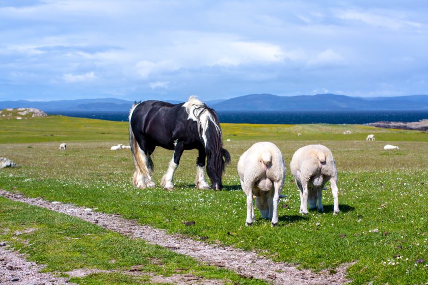 Applications for up to £200,000 a year to build farming skills and improve biodiversity have opened