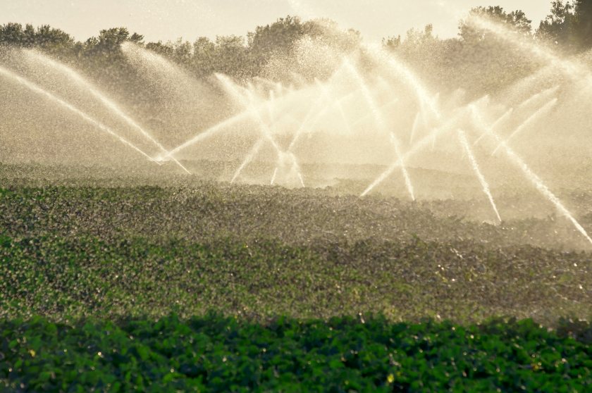Emergency talks were sparked after a sudden order last week cut off irrigation for around 240 growers