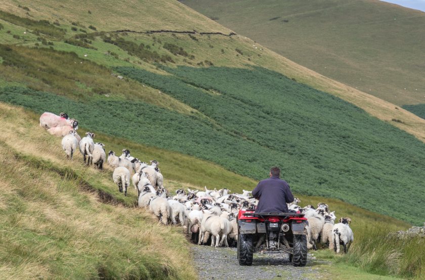 ATV accidents are a growing concern, as there were nearly 600 incidents reported over the past year