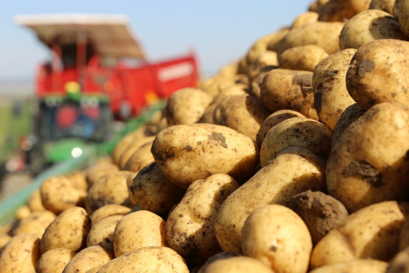 Low rainfall has prompted pre-harvest checks for potato growers across the country