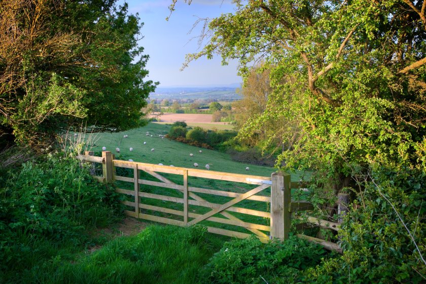 Farms will be sold – or lost forever: A rural adviser has issued a stark IHT warning