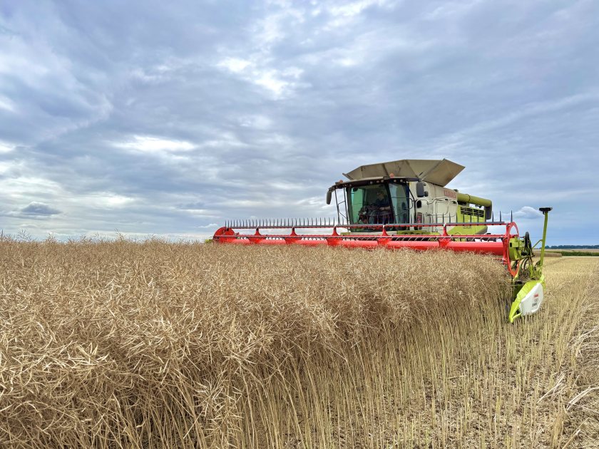 Sown between 10 and 20 September, the fields all performed exceptionally well