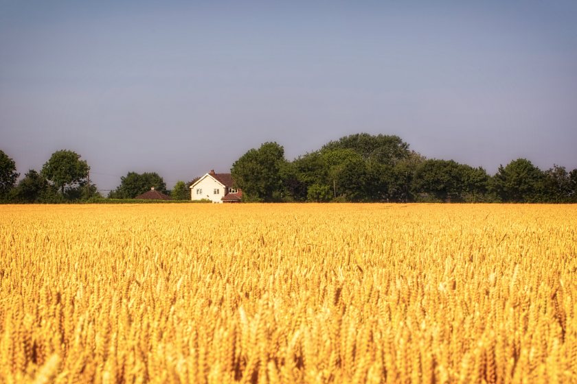 Farms across the UK have experienced unusually early harvests this year