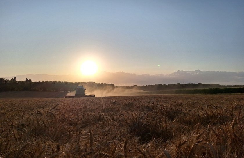 (Photo: Waitrose)