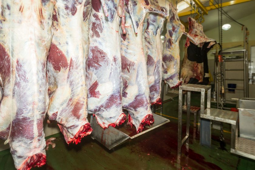 The report says that a resilient processing sector is vital for safeguarding food security
