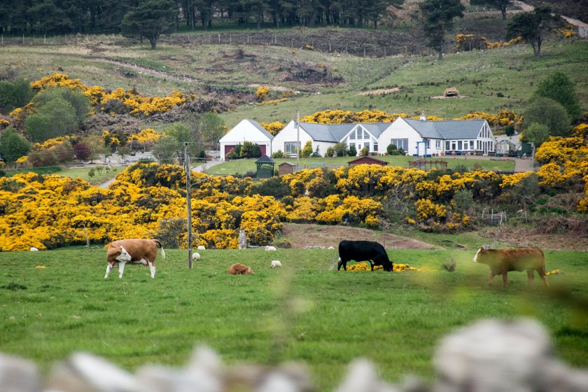 Campaigners say there is currently a lack of support for sustainable farming in Scotland