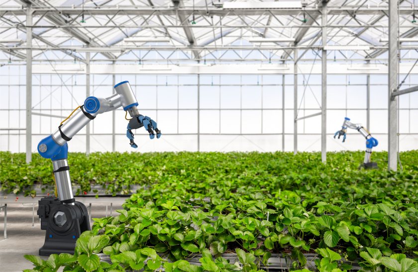 The competitions, launched by the government today, will open for applications this autumn