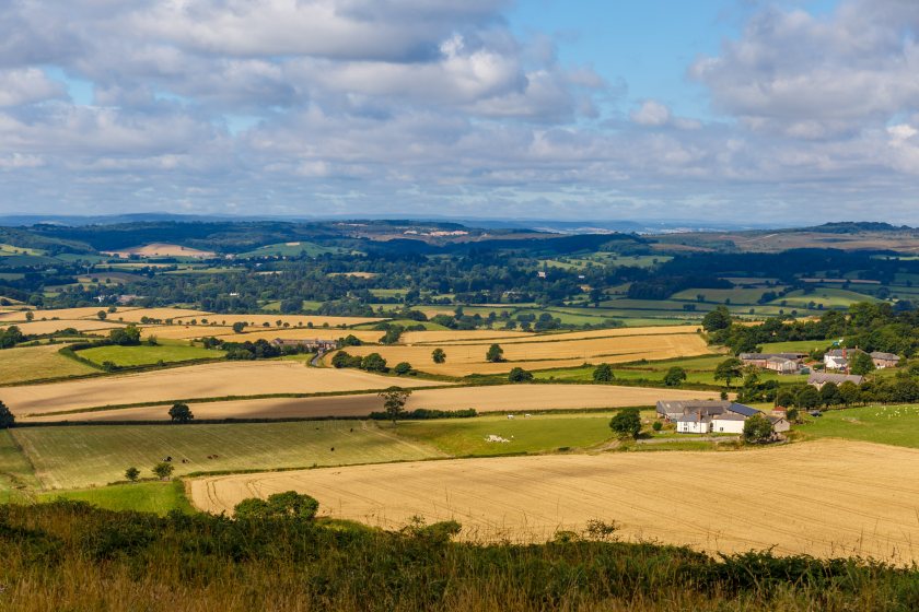 In the worst-case scenario, UK food production could decline by more than 32%