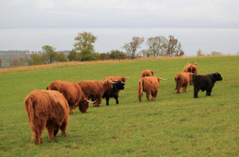 The funds form a critical part of farm and croft incomes