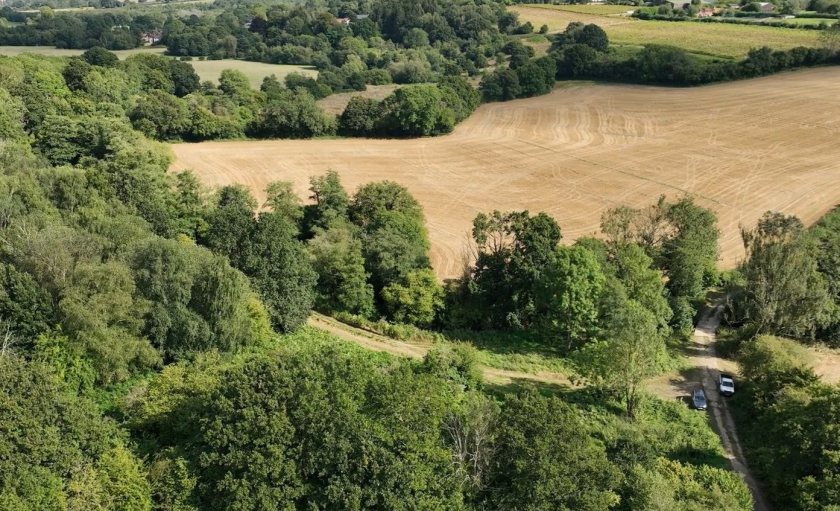 The purchase is intended to support one of Kent's most ambitious rewilding projects (Photo: Kent Wildlife Trust)