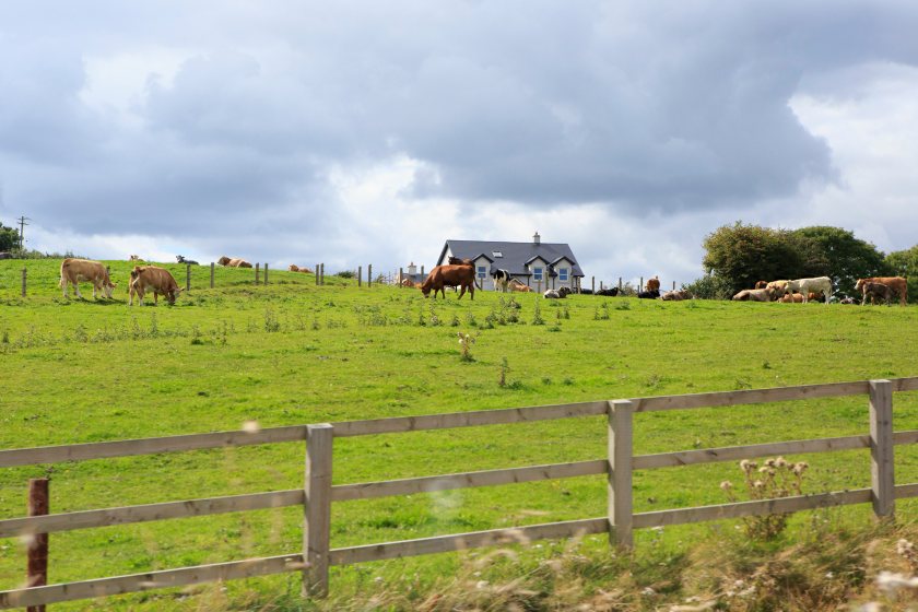 New figures show a sharp rise in the closure of Welsh agricultural businesses