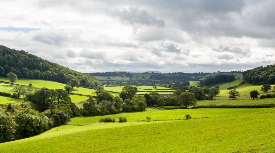 The society says it will shift focus to its flagship events, such as the Royal Welsh Show